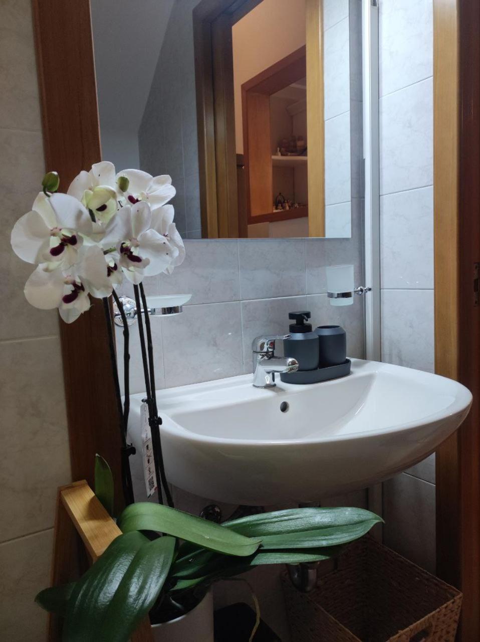 Casa Vacanza Gallipoli Centro Экстерьер фото